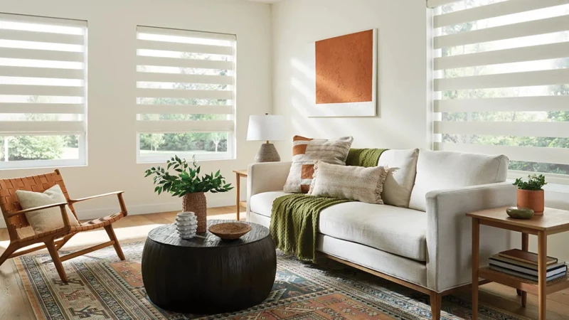 How to Choose Window Treatments That Add Value to Your Home image